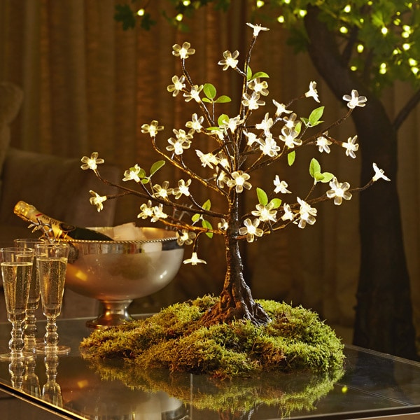Mini LED Cherry Tree to buy or hire from Twilight Trees. You can also buy a selection of our LED Trees via Twilight Living where you can bring Twilight Tree magic home. Click to find out more.
