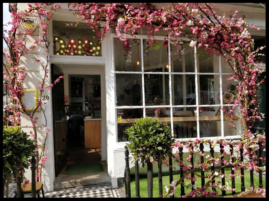 Daisy Green Cafe with Cherry Blossom