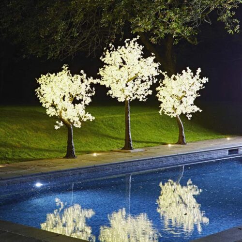Hire Lollipop LED Maple trees with white leaves by Twilight Trees