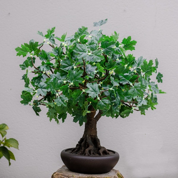 Green Bonsai LED Maple Tree