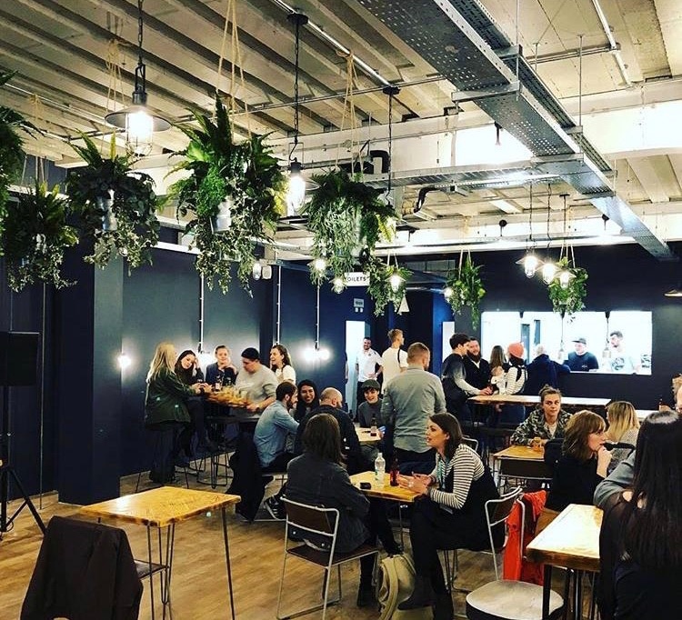 Twilight Trees' hanging planters at Coffee Lab