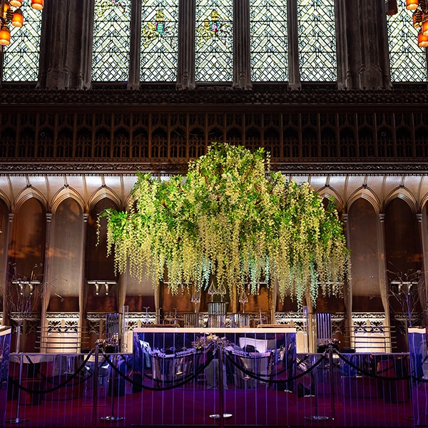 Hire large wisteria trees for events