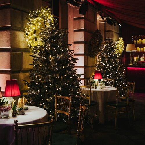 Hire LED Christmas trees for restaurants