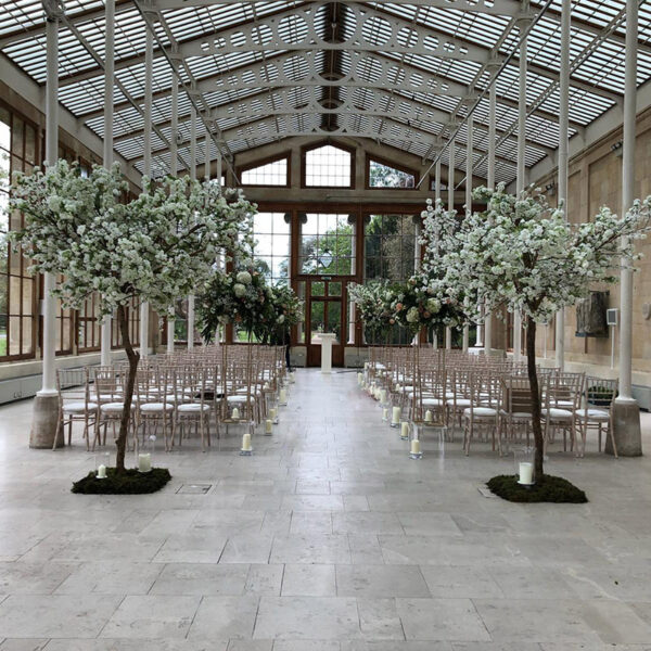 Hire white japanese blossom wedding trees