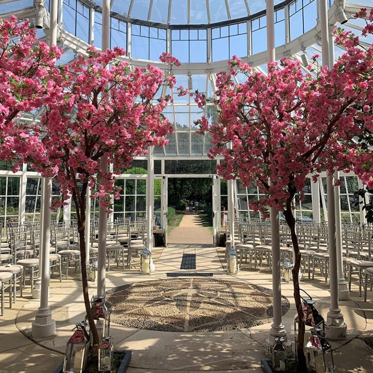 Pink Japanese blossom trees available to hire