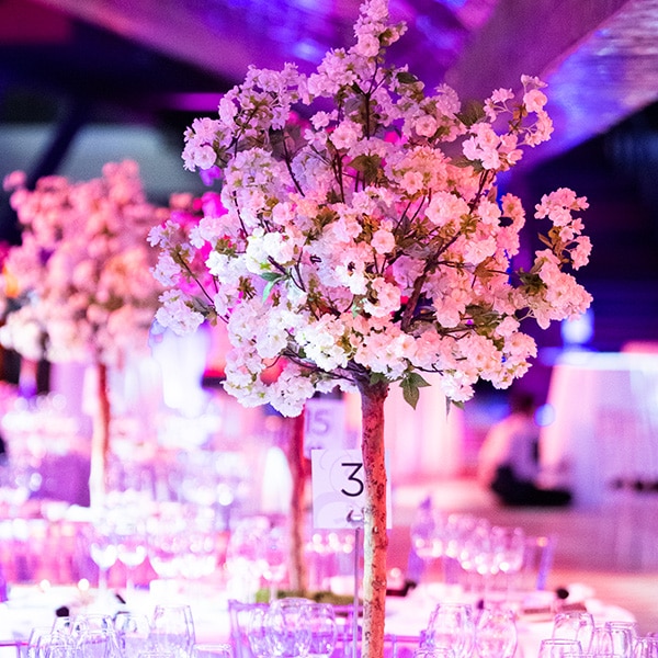 Hire white pom blossom trees for table displays