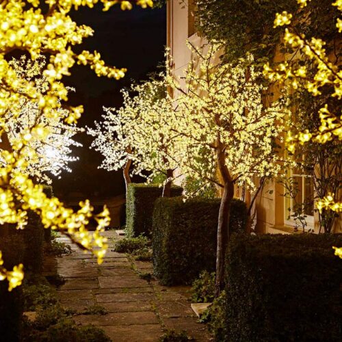 LED Trees, faux plants & outdoor accessories from Twilight Trees