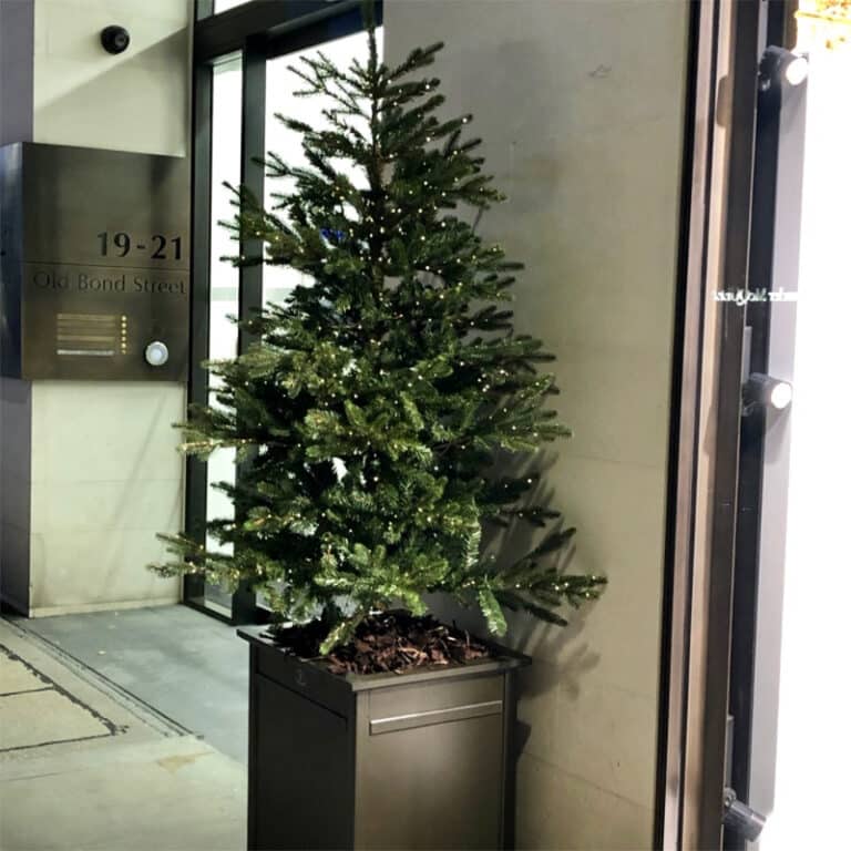 Gstaad Green Christmas Tree available to hire