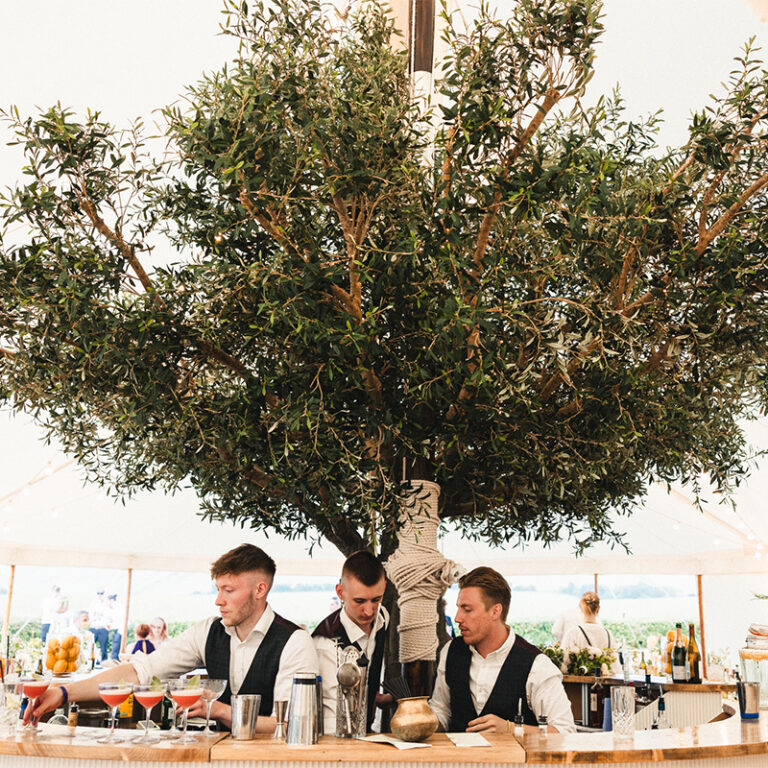 Wedding reception marquee - Grande Olive Tree provides centrepiece in circular bar