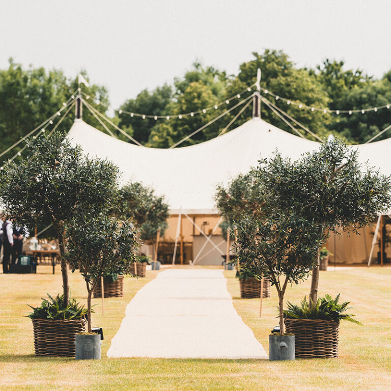 Artificial olive trees at wedding reception
