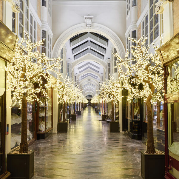 LED cherry trees for Christmas display